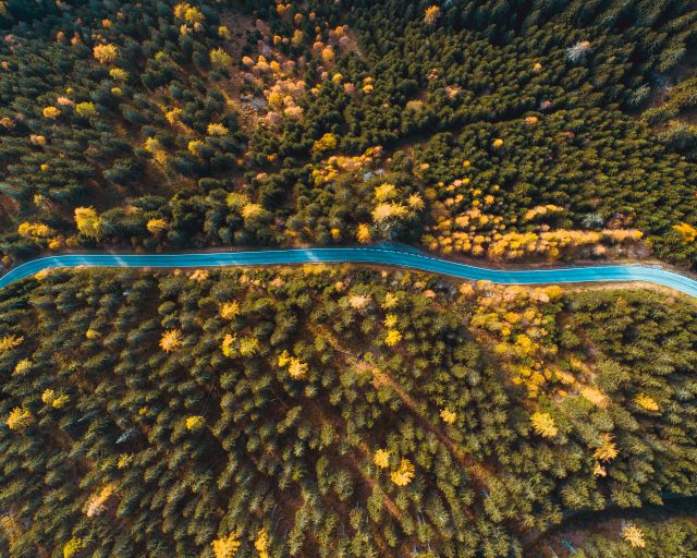DJI_0020