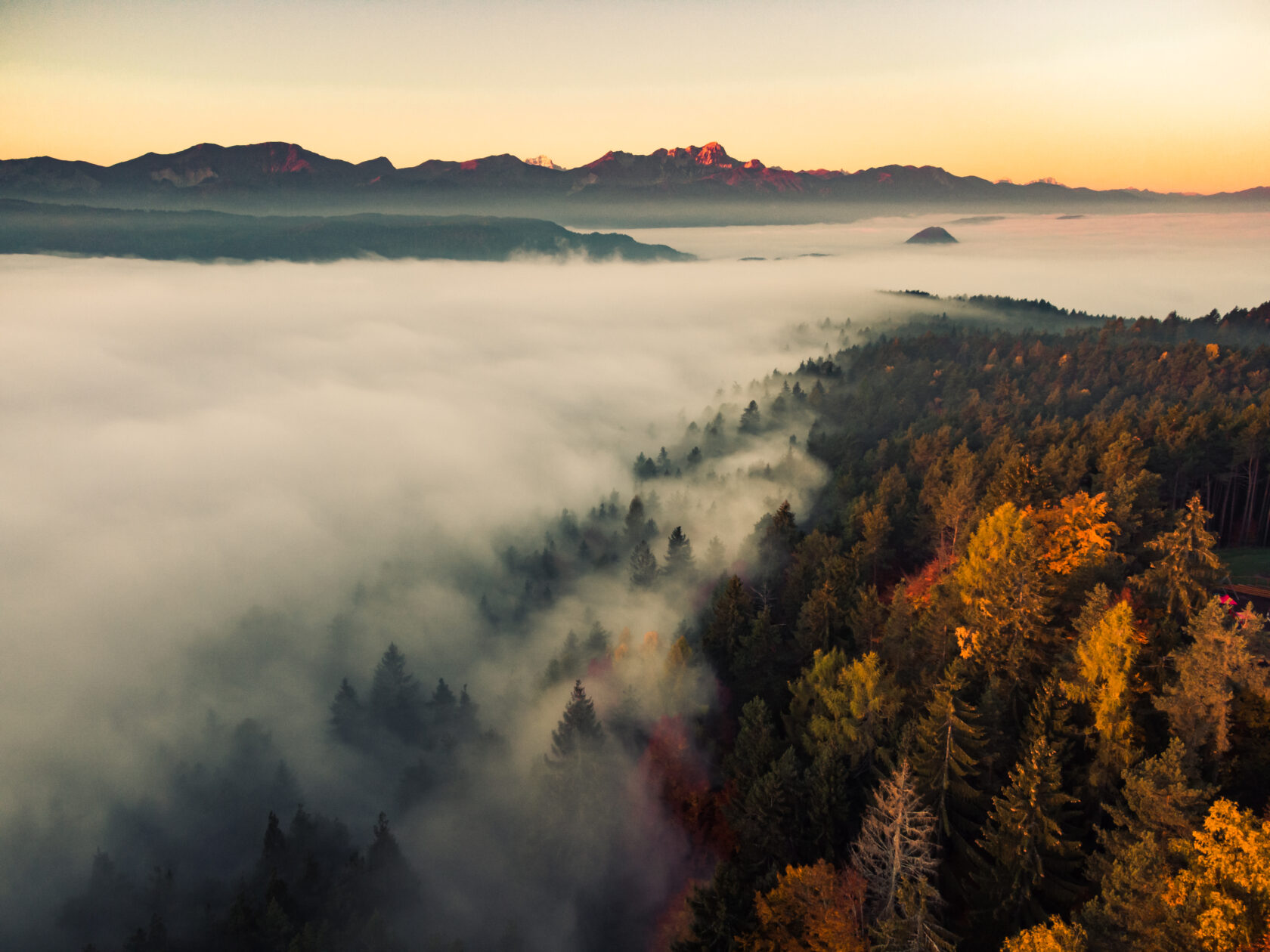 DJI_0311-4