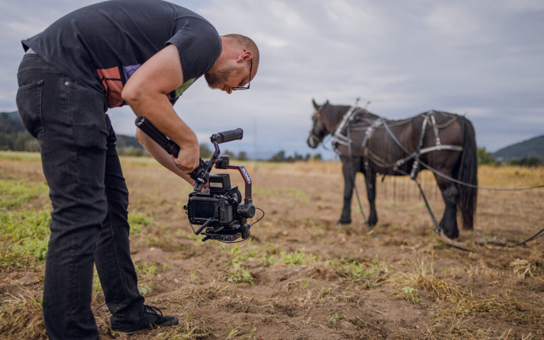 BTS Sonnwerk 3